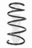 SPIDAN 56960 Coil Spring